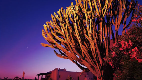 Mirador de Santa Eulalia del Río