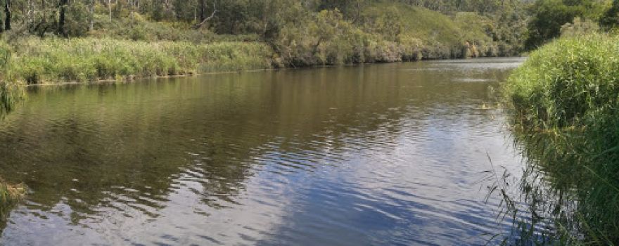 Pines Landing Canoe Camping Area