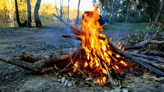 Gunbower National Park