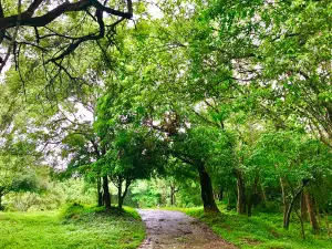 Parco nazionale di Wasgamuwa