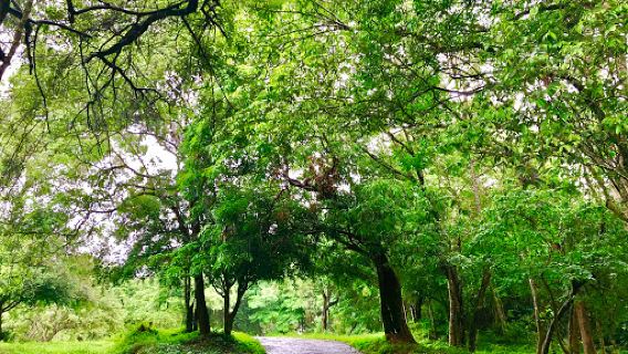 Wasgamuwa National Park