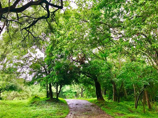 Wasgamuwa National Park