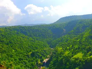 Shree Dhareshwar Sansthan, palashi