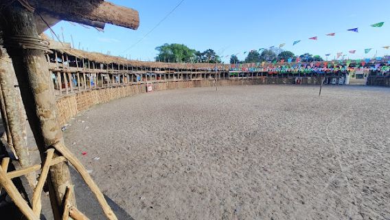 Placita de Toros