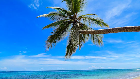 Puerto Viejo Tours CR