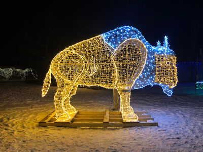 Magnetic Hill Zoo
