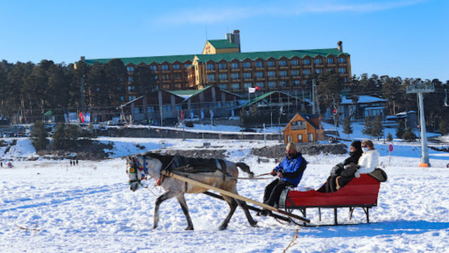 Sarıkamış Dağ A.Ş.