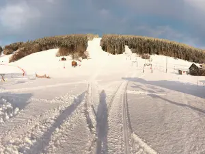 Almåsa Alpin i Offerdal