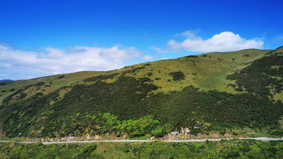 Paekakariki