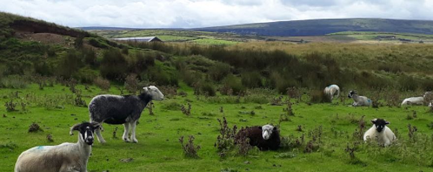 Cant Clough Reservoir