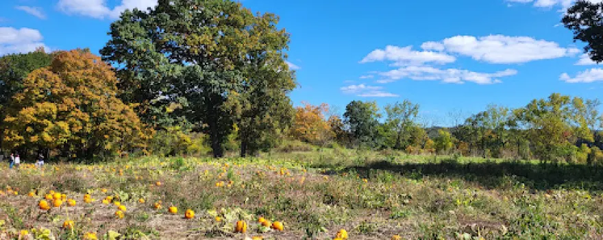 Longmeadow Farm