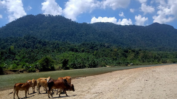 Pantai Baling Karang