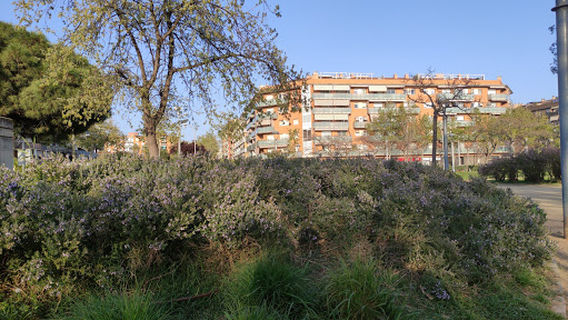El Prat de Llobregat