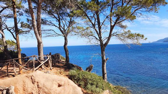 Platja Port des Canonge