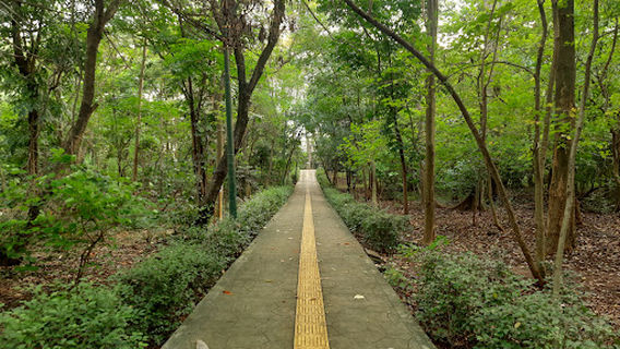Hutan Kota Srengseng