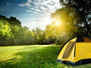 Monroe Bay Campground