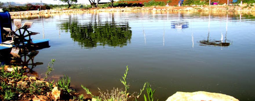 Fishing Club פארק דייג