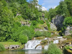 Pertes de l'Ain