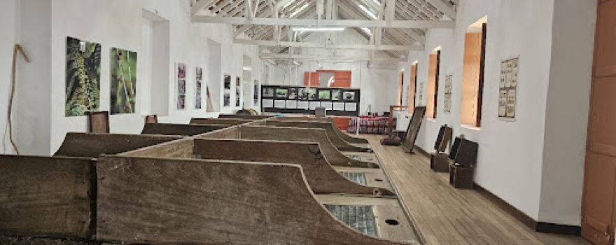 Museu Do Cafe