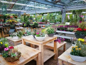Dehner Garten-Center