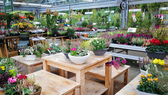 Dehner Garten-Center