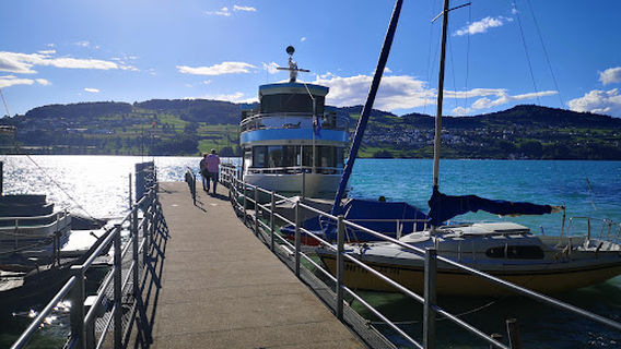 Meisterschwanden–Seerose