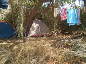 Acampamento Amigos da Onça