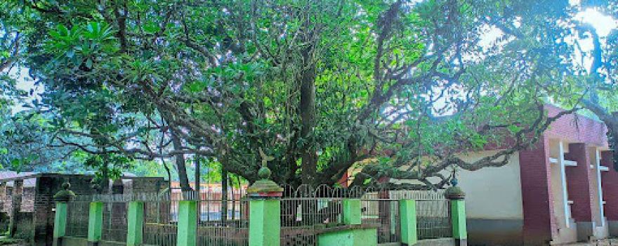 Lakshmipur Pirer Mazar