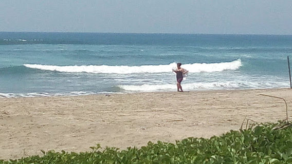 Campamento Tortuguero Taracosta