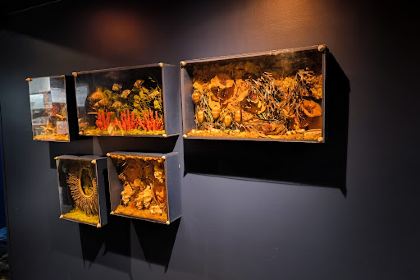 Ephemera Restaurant - Under the sea