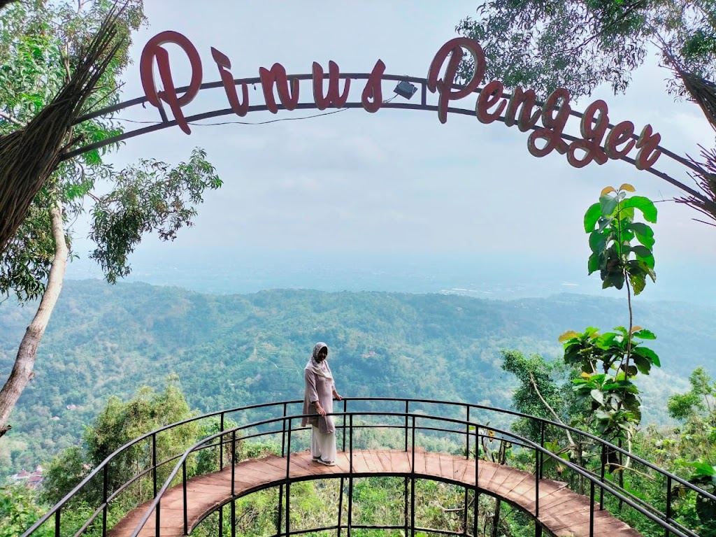 Hutan Pinus Pengger