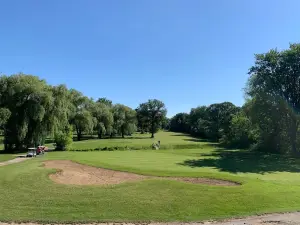 Willow Tree Golf