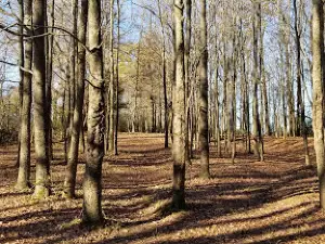 Latimer Lake Park