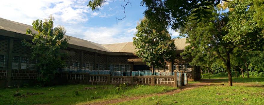 Kongo Spiritual Renewal Center