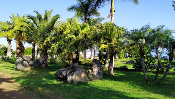 Puerto de la Cruz