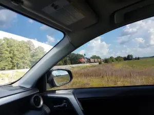 アスキュー野生動物保護区