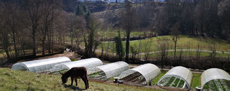 Ferme du Forezan