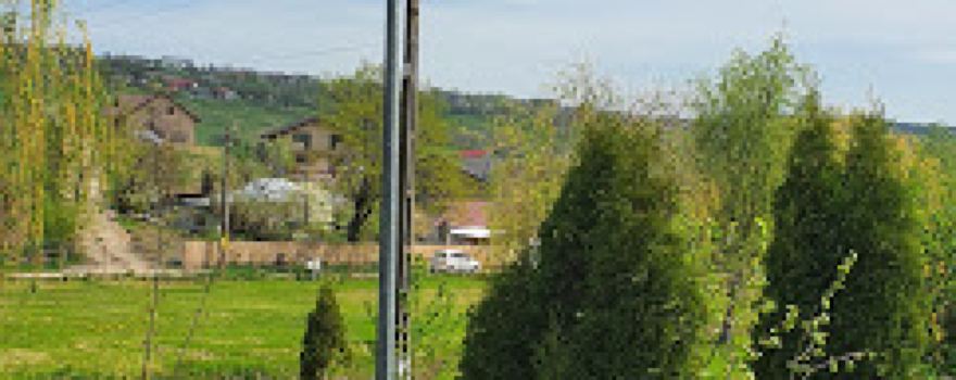 Parc Ion Buzdugan