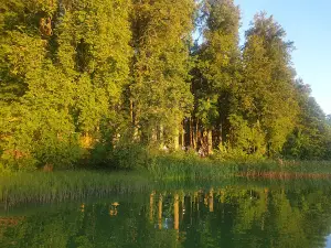 Kiidjärve park
