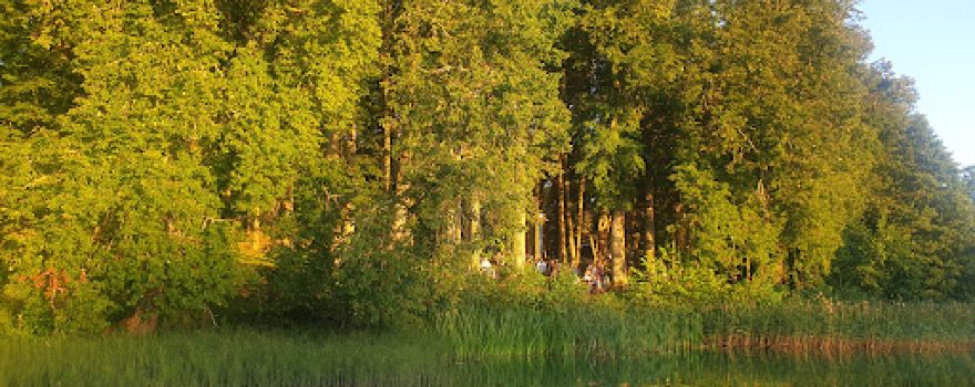 Kiidjärve park