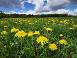 Rozhledna Varhošť
