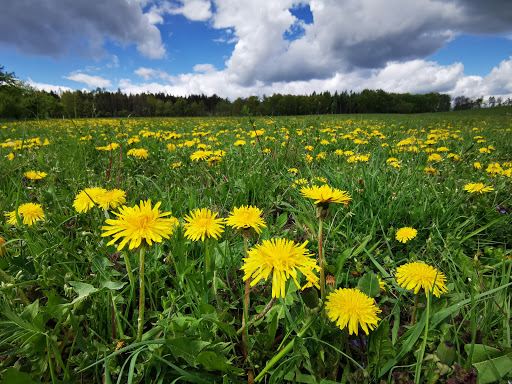 Rozhledna Varhošť