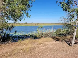 Couzens Lookout
