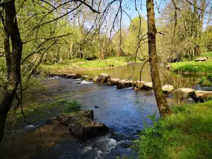 La Roche au Cerfs