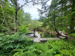 Hlgu Isgwit Hot Springs