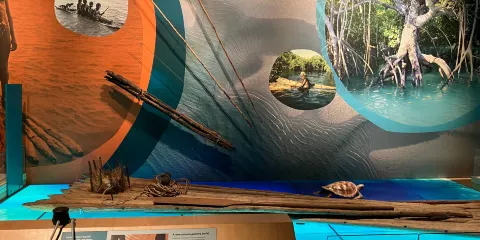 西澳大利亞州博物館