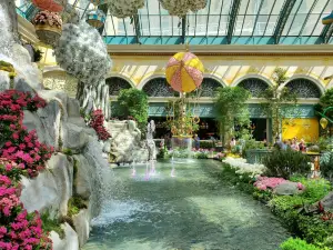 拉斯維加斯熱門賞花踏青景點