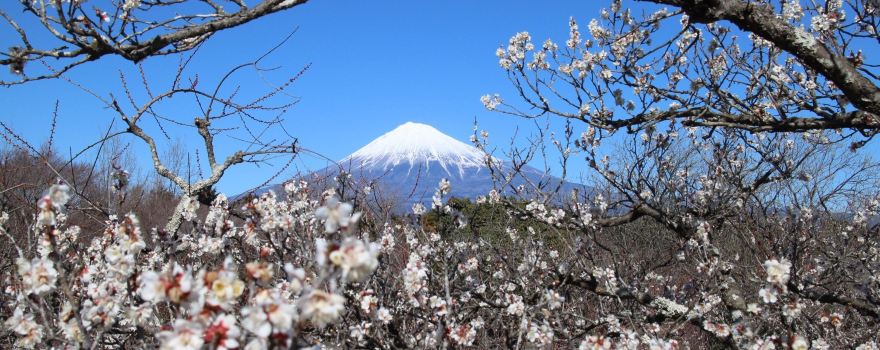 Iwamoto Mountain Park