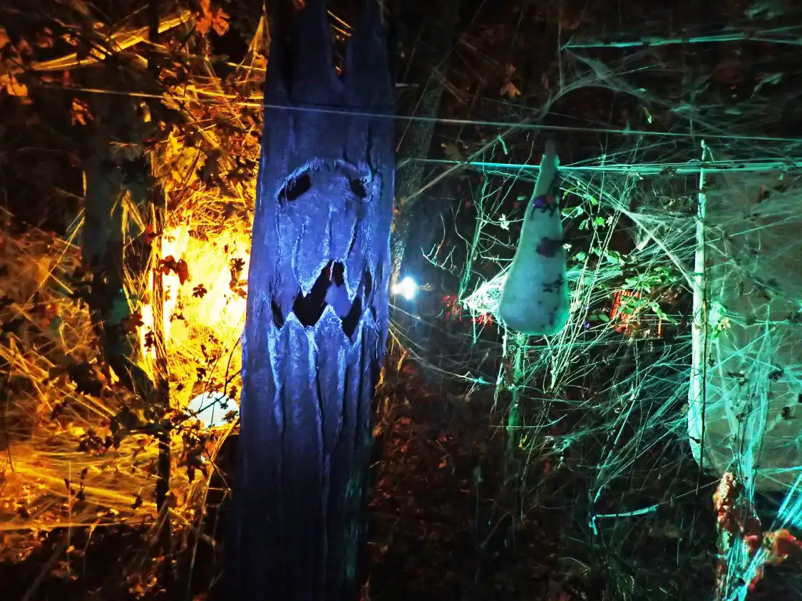 Hotels near Mary S. Young Park