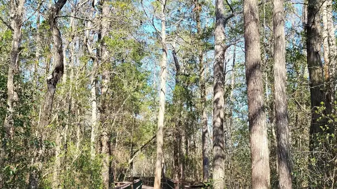2_Turkey Creek Nature Trail